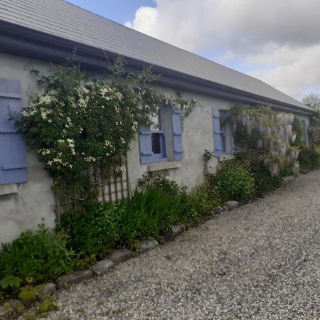 Escape To The Country Villa Westport Eksteriør billede